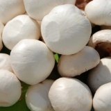 Pečurke: da li moram očistiti i oprati svježe gljive prije kuhanja